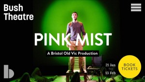 Pink Mist at the Bush theatre