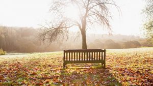 conversations-on-a-bench