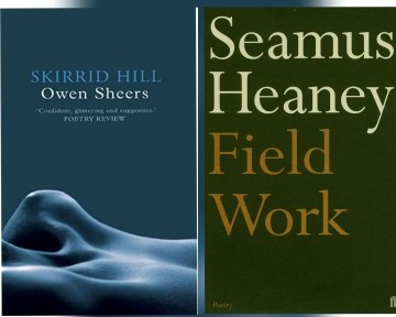 Skirrid Hill and Field Work book covers